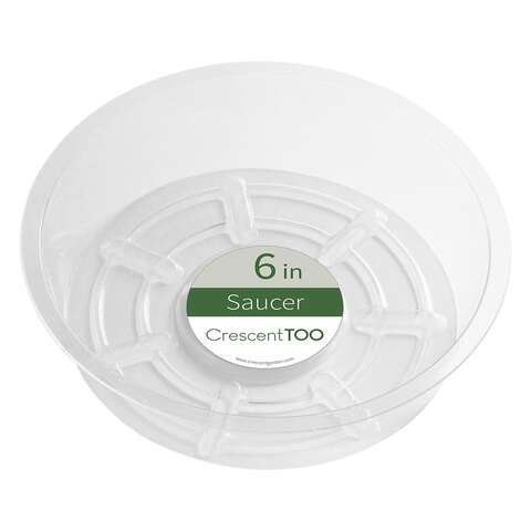 Crescent Garden 2 in. H X 6 in. D Plastic Plant Saucer Clear, Pack of 50