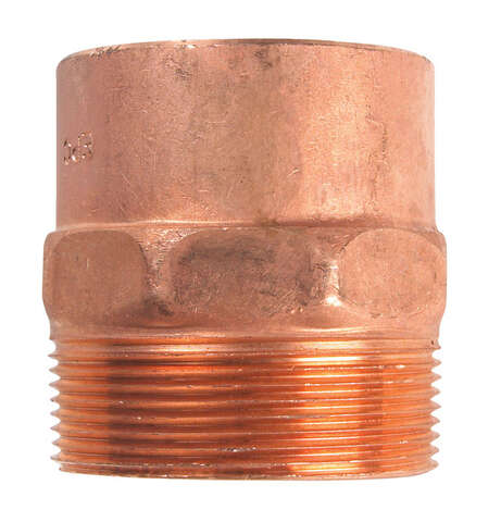 NIBCO 2 in. Copper X 2 in. D MIP Copper Pipe Adapter 1 pk