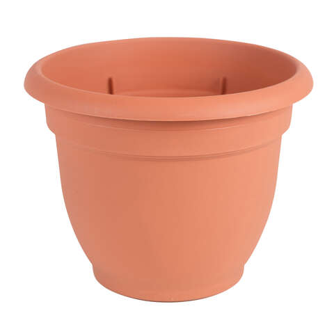 Bloem 21.5 in. W X 20 in. D Resin Ariana Planter Terracotta Clay