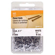 HILLMAN 1 in. Panel Steel Nail Flat Head, Pack of 5