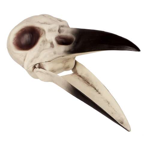 Seasons 3 in. Bird Skeleton Head Halloween Decor