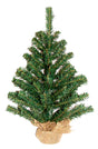 Hometown Holidays 11118 Christmas Tree, 18 in H, Fir Family, Pack of 12