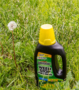 Spectracide WEED STOP HG-96540 Lawns Concentrate, Liquid, Spray Application, 32 fl-oz Bottle