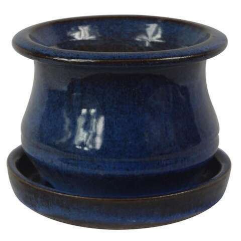 Trendspot Low Bell 5.3 in. H X 6.9 in. W X 6.9 in. D X 7 in. D Ceramic Planter Blue, Pack of 2