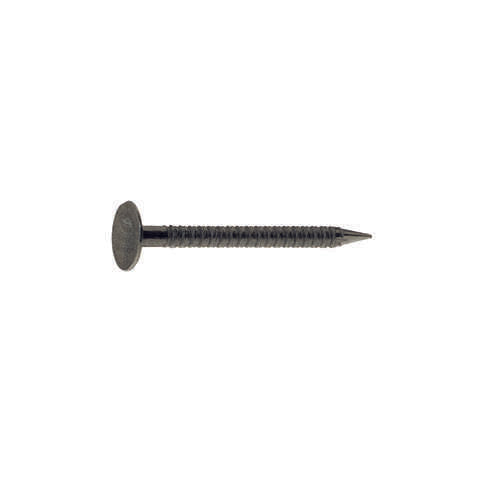 Grip-Rite 3-1/4 in. Drywall Bright Steel Nail Flat Head 1 lb, Pack of 12