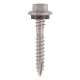 Teks Elite No. 10 X 2 in. L Hex Drive Hex Washer Head Self Tapping Roofing Screws
