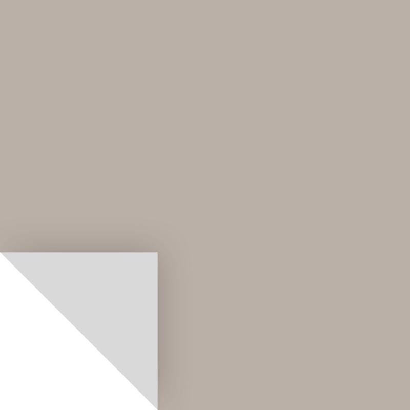 Samplize Benjamin Moore Silver Fox Peel & Stick Color Sample 2108-50, Pack of 8