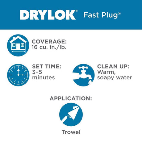 Drylok Fast Plug Hydraulic Cement 4 lb Gray, Pack of 4