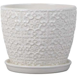 Trendspot 6.8 in. H X 8 in. W X 8 in. D Ceramic Mediterranean Planter White, Pack of 2