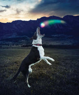 Nite Ize GlowStreak Series GSB-07-R7 Dog Toy, Ball
