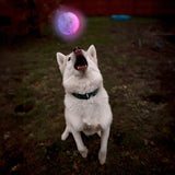 LED BALL COLR-CHNG RUBB DISC-O