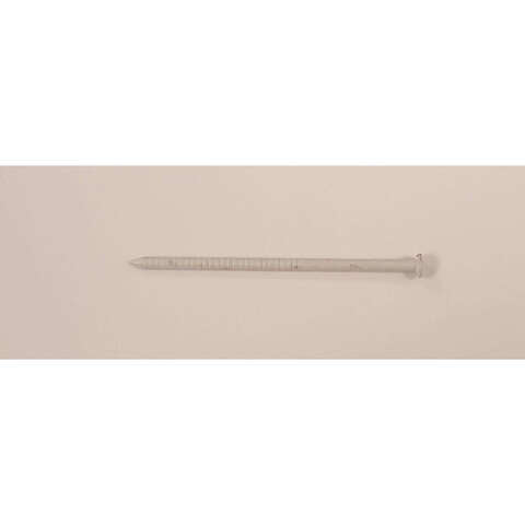 Maze Nails 8D 2-1/2 in. Trim Stainless Steel Nail Flat Head 1 lb