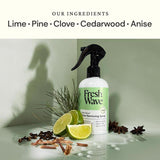 Ace 2 in. W Applicator For Doors/Windows