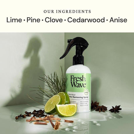 Ace 2 in. W Applicator For Doors/Windows