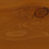 Ace Outdoor 50 ft. L Blue Extension Cord 16/3 SJOW