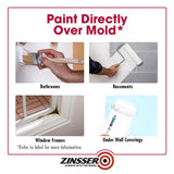 Zinsser White Mold Killing Primer 5 gal