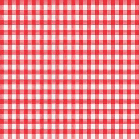 Magic Cover Red/White Checkered Vinyl Disposable Tablecloth 54 in. L X 54 in. W