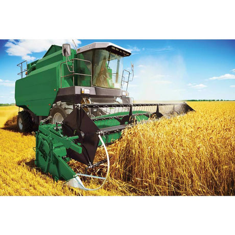 Ace Rust Stop Machine & Implement Gloss John Deere Green Protective Enamel Spray Paint 15 oz, Pack of 6