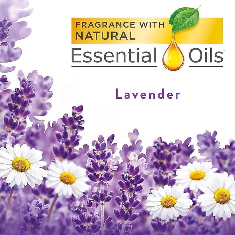 Air Wick Freshmatic Lavender and Chamomile Scent Air Freshener Refill 6.17 oz Liquid