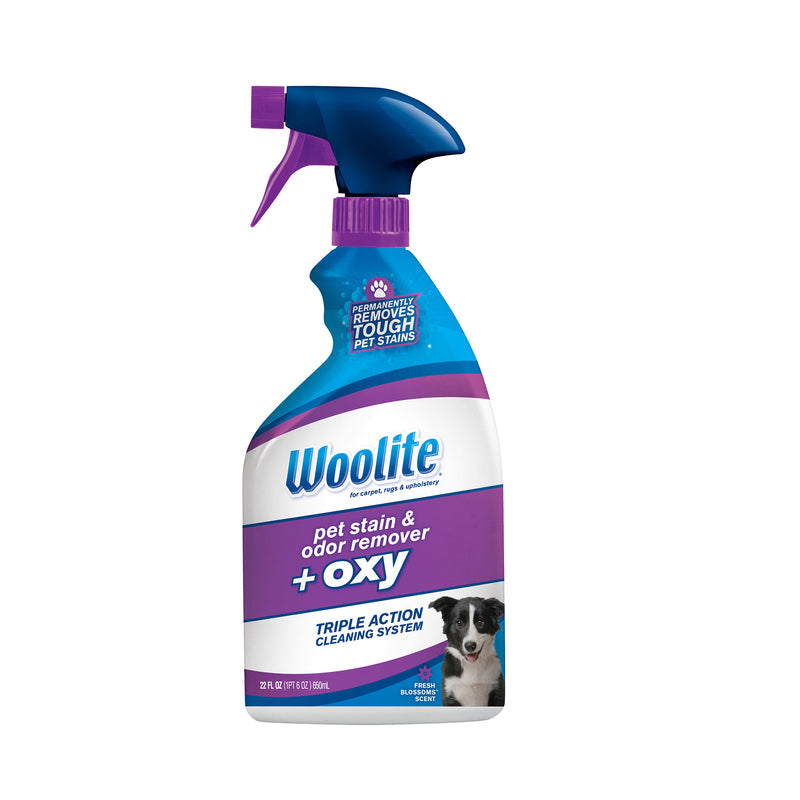 Bissell Woolite 0890 Pet Stain and Odor Remover, Liquid, Characteristic, 22 oz, 1/PK