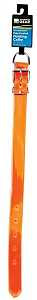 Guardian Gear 2151724 Collar, 17 in L, 1 in W, Nylon