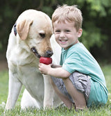 Kong Classic T1 Dog Toy, L, Rubber, Red
