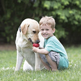 Kong Classic T3 Dog Toy, Small, Rubber, Red