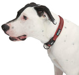 Guardian Gear ZA0006 12 83 Dog Collar, O-Ring Link, 12 to 83 in L Collar, Nylon, True Red