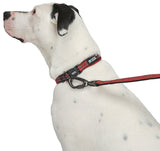Guardian Gear ZA0006 16 83 Dog Collar, O-Ring Link, 16 to 83 in L Collar, Nylon, True Red