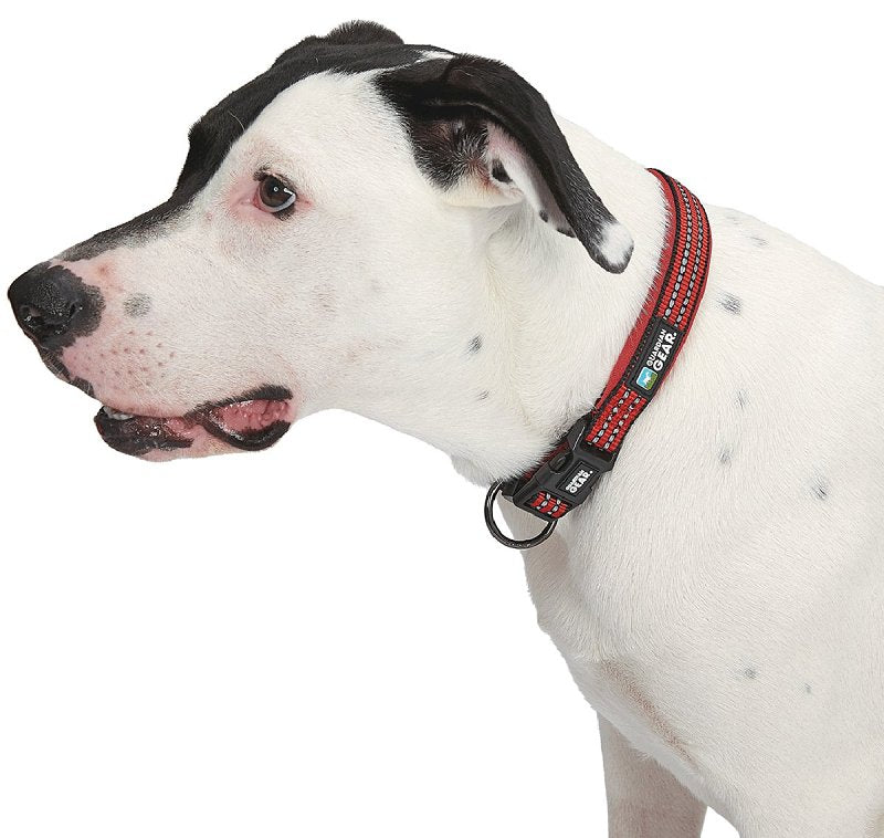 Guardian Gear ZA0006 20 83 Dog Collar, O-Ring Link, 20 to 83 in L Collar, Nylon, True Red