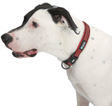 Guardian Gear ZA0006 20 83 Dog Collar, O-Ring Link, 20 to 83 in L Collar, Nylon, True Red