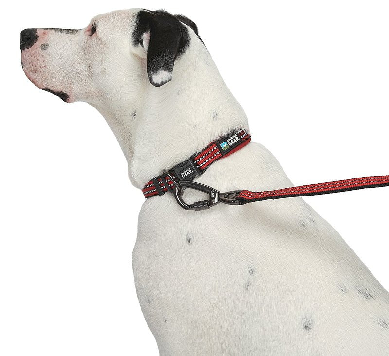 Guardian Gear ZA0006 20 83 Dog Collar, O-Ring Link, 20 to 83 in L Collar, Nylon, True Red
