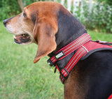 Guardian Gear ZA0006 20 83 Dog Collar, O-Ring Link, 20 to 83 in L Collar, Nylon, True Red