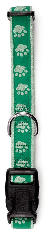 Casual Canine ZA8871 06 43 Dog Collar, 6 to 10 in L Collar, 3/8 in W Collar, Nylon, Green