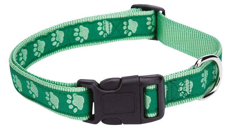 Casual Canine ZA8871 10 43 Dog Collar, 10 to 16 in L Collar, 5/8 in W Collar, Nylon, Green
