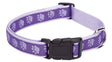 Casual Canine ZA8871 18 79 Dog Collar, 18 to 26 in L Collar, 1 in W Collar, Nylon, Purple