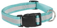 Guardian Gear ZA984 06 19 Dog Collar, 6 to 10 in L Collar, 3/8 in W Collar, Nylon, Blue, Reflective Taping
