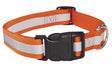 Guardian Gear ZA984 10 69 Dog Collar, 10 to 16 in L Collar, 5/8 in W Collar, Nylon, Orange
