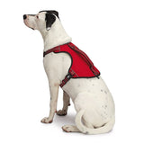 Guardian Gear ZA0031 20 83 Reflective Harness, 24 to 35 in, Fastening Method: O-Ring Strap, Nylon Harness, True Red