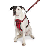 Guardian Gear ZA0031 20 83 Reflective Harness, 24 to 35 in, Fastening Method: O-Ring Strap, Nylon Harness, True Red