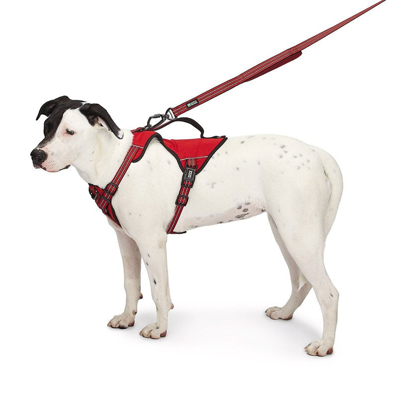 Guardian Gear ZA0031 20 83 Reflective Harness, 24 to 35 in, Fastening Method: O-Ring Strap, Nylon Harness, True Red