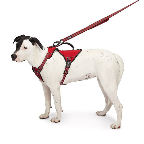 Guardian Gear ZA0031 20 83 Reflective Harness, 24 to 35 in, Fastening Method: O-Ring Strap, Nylon Harness, True Red