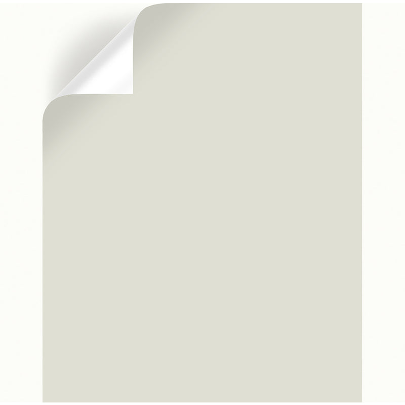 Magnolia Home by Joanna Gaines One Horn White Peel & Stick Color Sample, Pack of 25