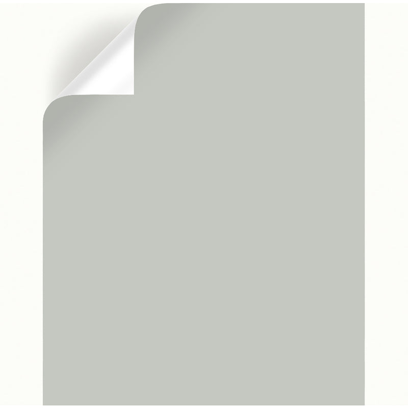 Magnolia Home by Joanna Gaines Wedding Band Peel & Stick Color Sample, Pack of 25