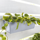 Krylon Fusion All-In-One Matte Glacier Gray Paint+Primer Spray Paint 12 oz, Pack of 6