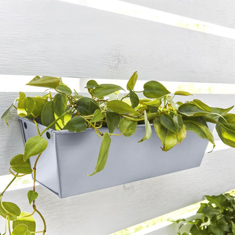 Krylon Fusion All-In-One Matte Glacier Gray Paint+Primer Spray Paint 12 oz, Pack of 6