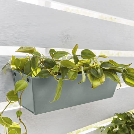 Krylon Fusion All-In-One Matte Pale Sage Paint+Primer Spray Paint 12 oz, Pack of 6