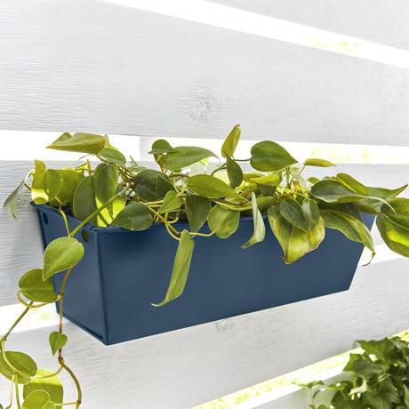 Krylon Fusion All-In-One Flat Clear Paint+Primer Spray Paint 12 oz, Pack of 6