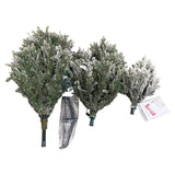 Hometown Holidays 301-RMDDF-75QC8 Pre-Lit Royal Majesty Christmas Tree, 7-1/2 ft H