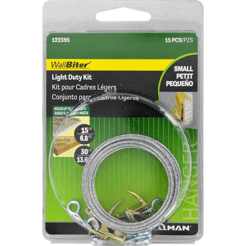 HILLMAN WallBiter Brass-Plated Silver Light Duty Picture Hook Kit 30 lb 5 pk, Pack of 5